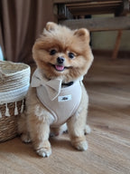 Lush Velvet Harness for Cats and Dogs