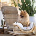 Elite Enclave Rattan Bed for Cats and Dogs