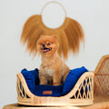 Elite Enclave Rattan Bed for Cats and Dogs