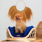 Elite Enclave Rattan Bed for Cats and Dogs