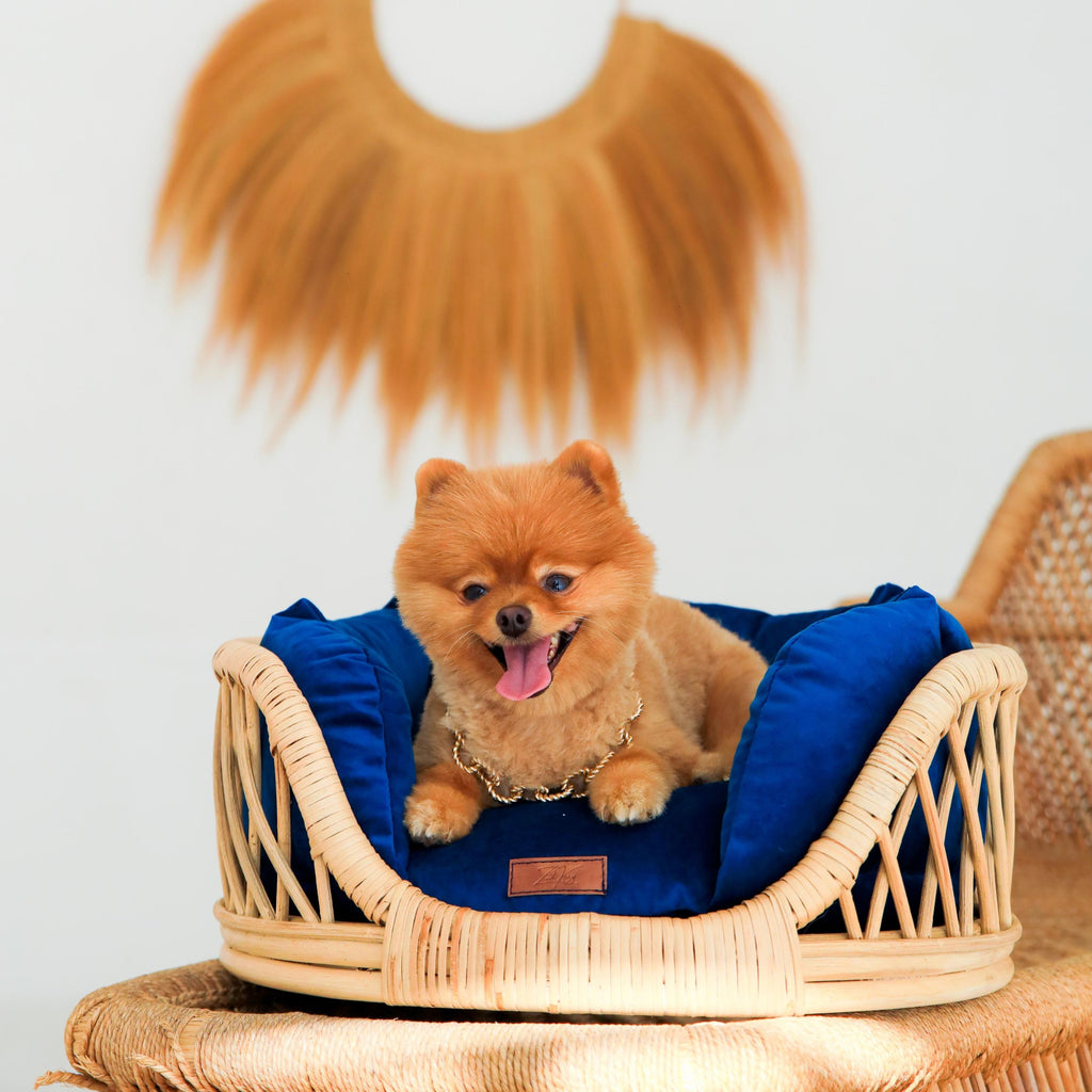 Elite Enclave Rattan Bed for Cats and Dogs