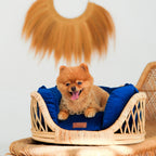 Elite Enclave Rattan Bed for Cats and Dogs