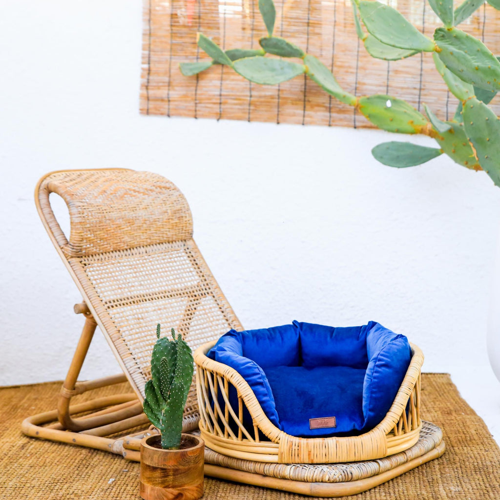 Elite Enclave Rattan Bed for Cats and Dogs