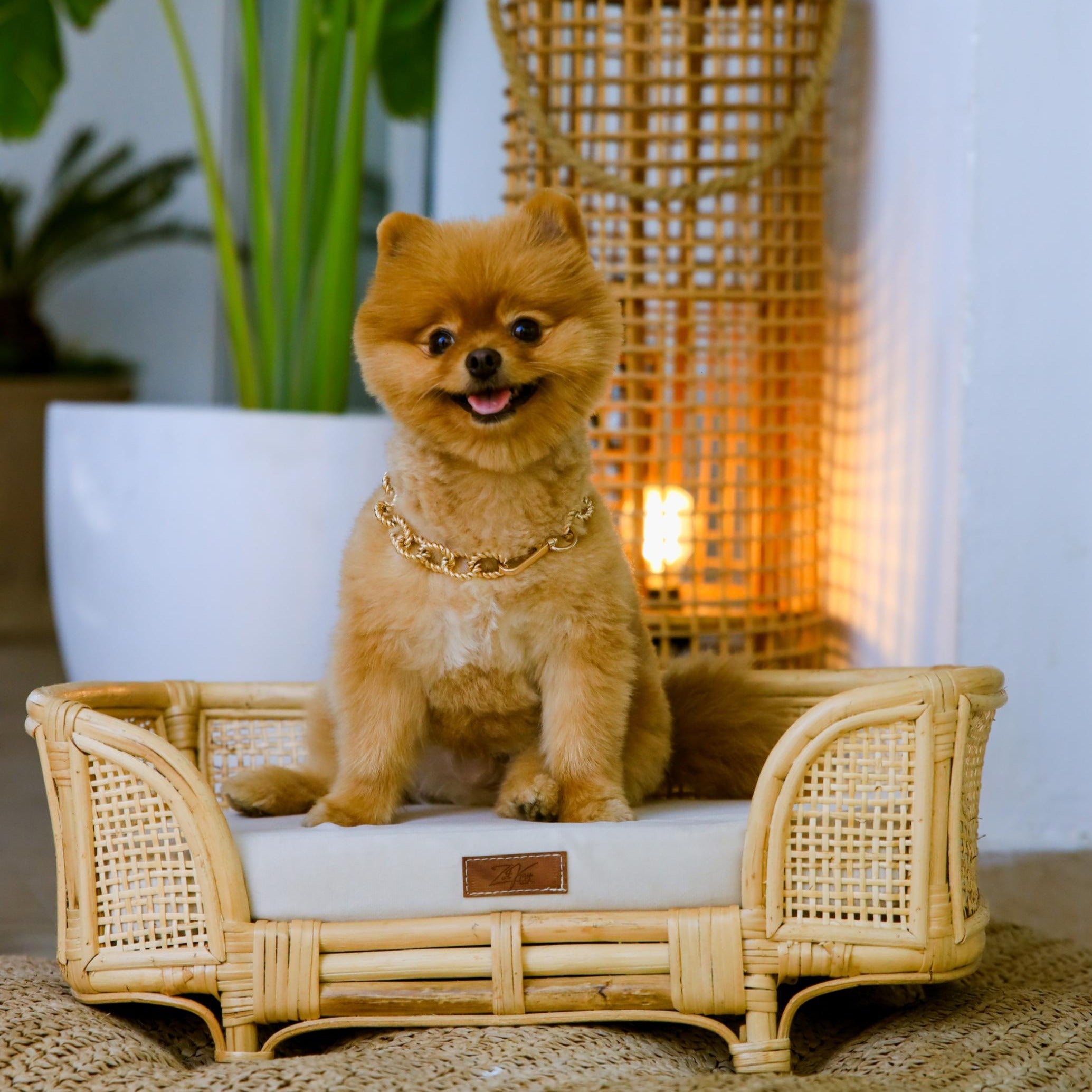 Royal Haven Rattan Bed for Cats and Dogs