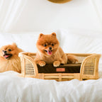Royal Haven Rattan Bed for Cats and Dogs