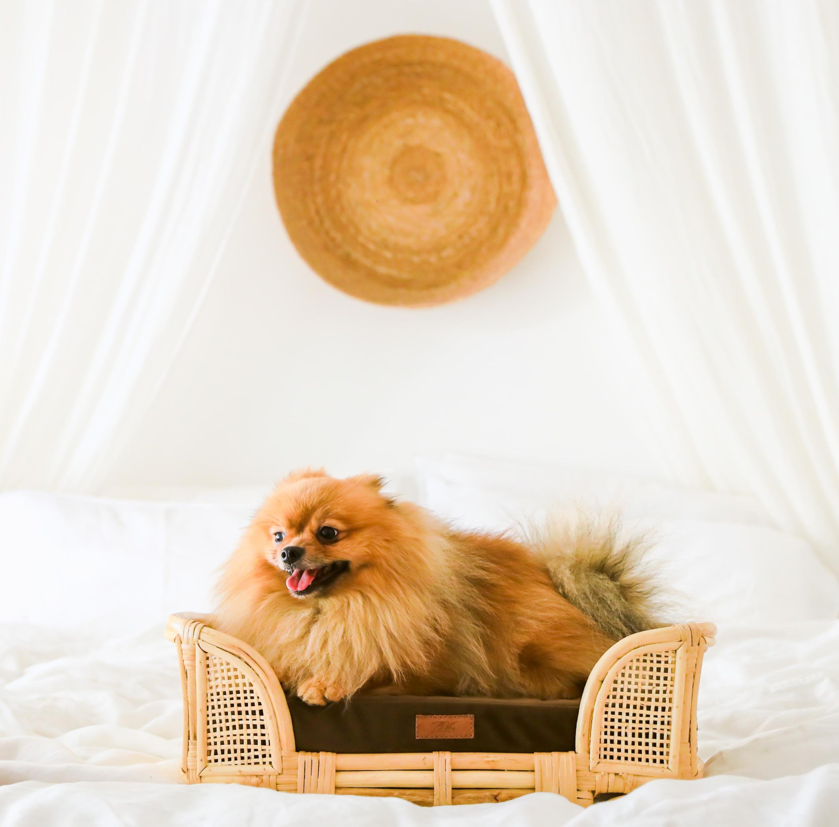 Royal Haven Rattan Bed for Cats and Dogs