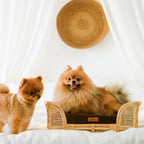 Royal Haven Rattan Bed for Cats and Dogs