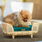 Royal Haven Rattan Bed for Cats and Dogs