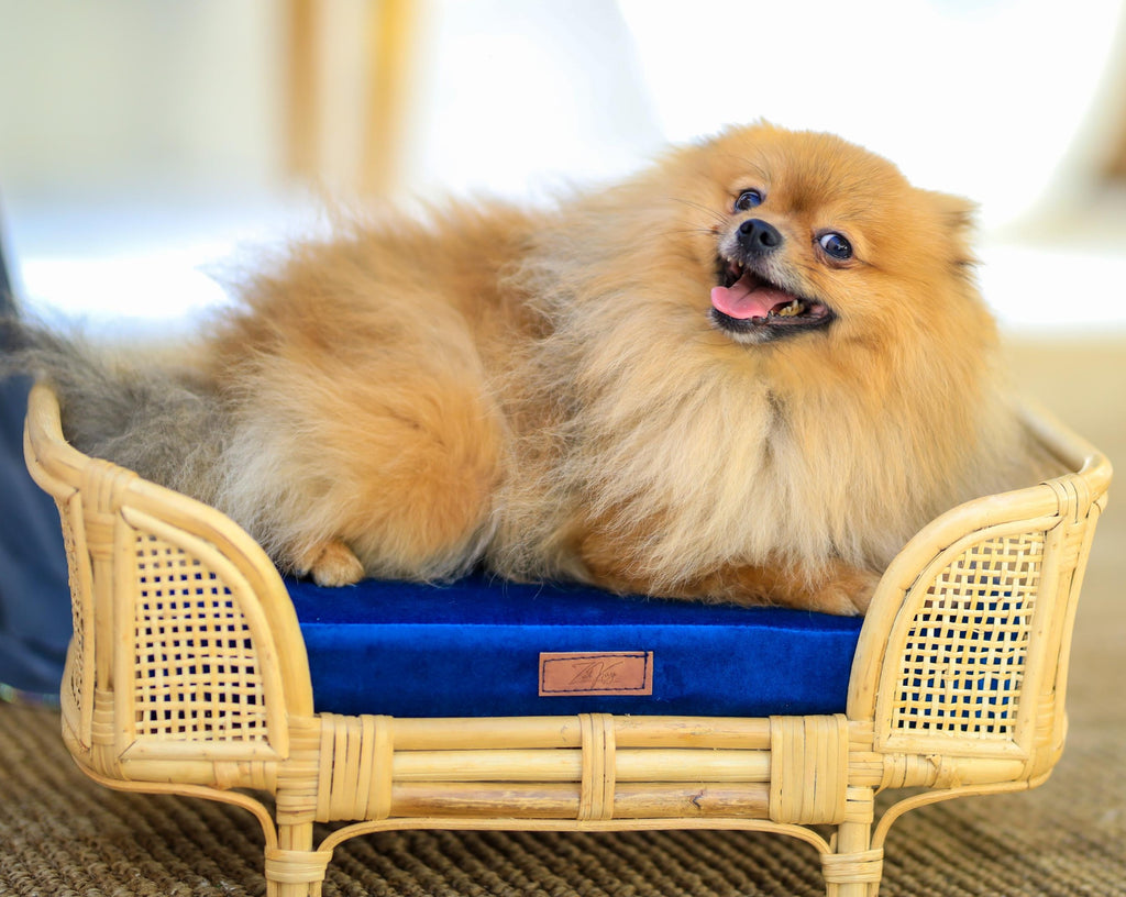Royal Haven Rattan Bed for Cats and Dogs