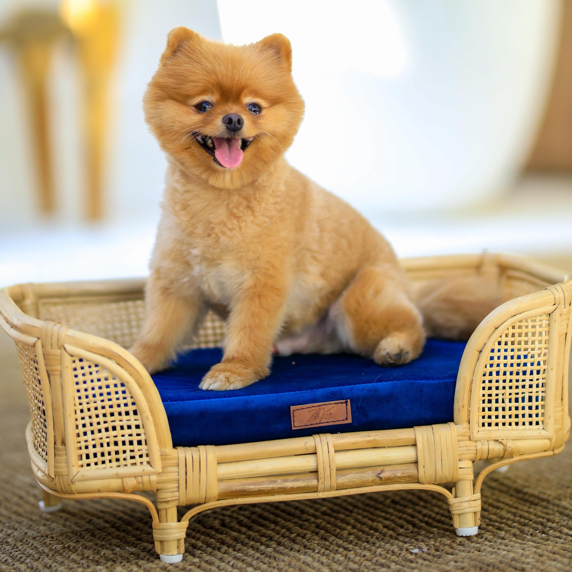 Royal Haven Rattan Bed for Cats and Dogs