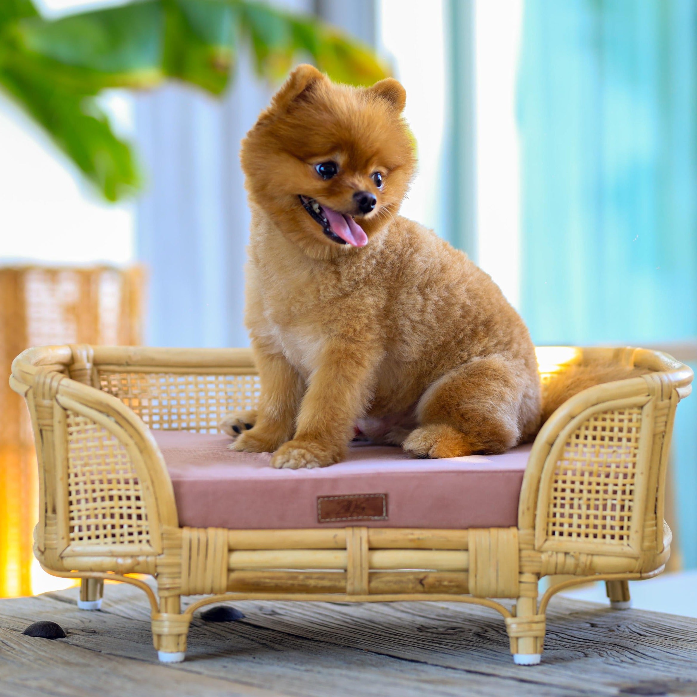 Royal Haven Rattan Bed for Cats and Dogs