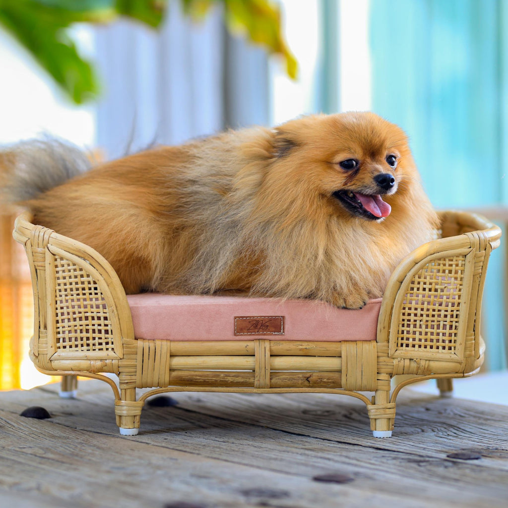 Royal Haven Rattan Bed for Cats and Dogs