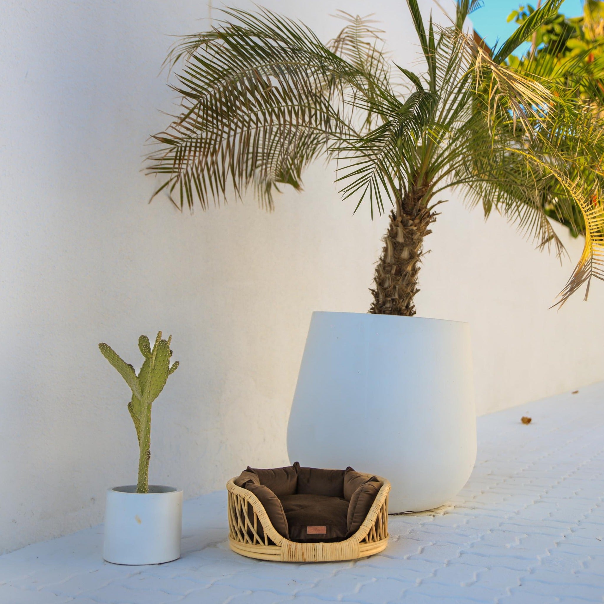 Elite Enclave Rattan Bed for Cats and Dogs