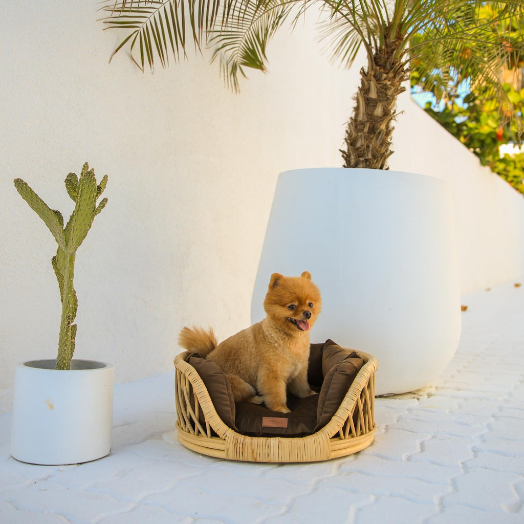 Elite Enclave Rattan Bed for Cats and Dogs