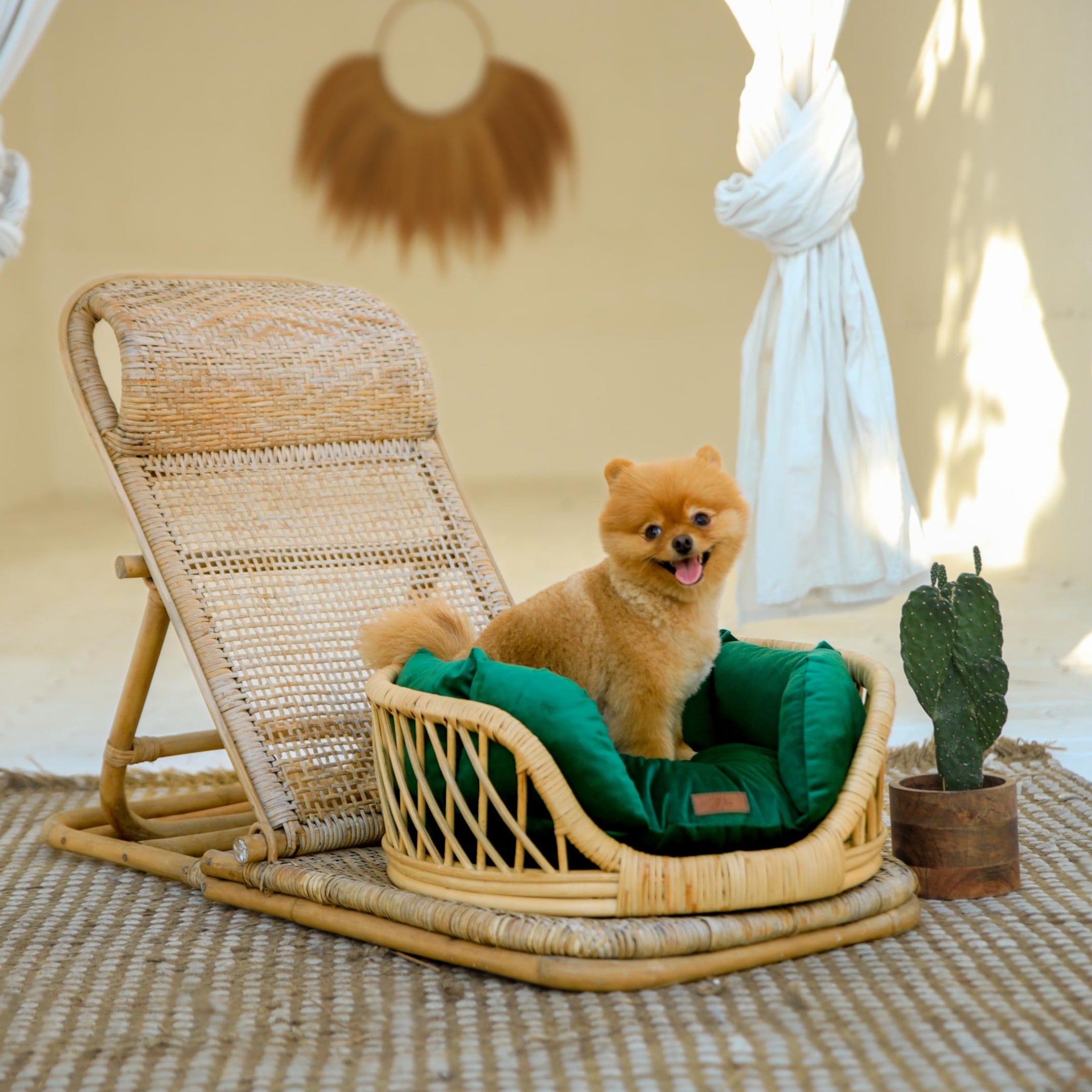 Elite Enclave Rattan Bed for Cats and Dogs