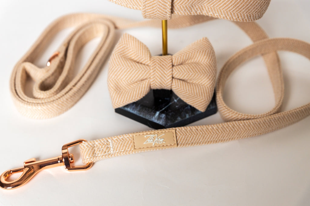 Sunset Glow Harness for Cats and Dogs