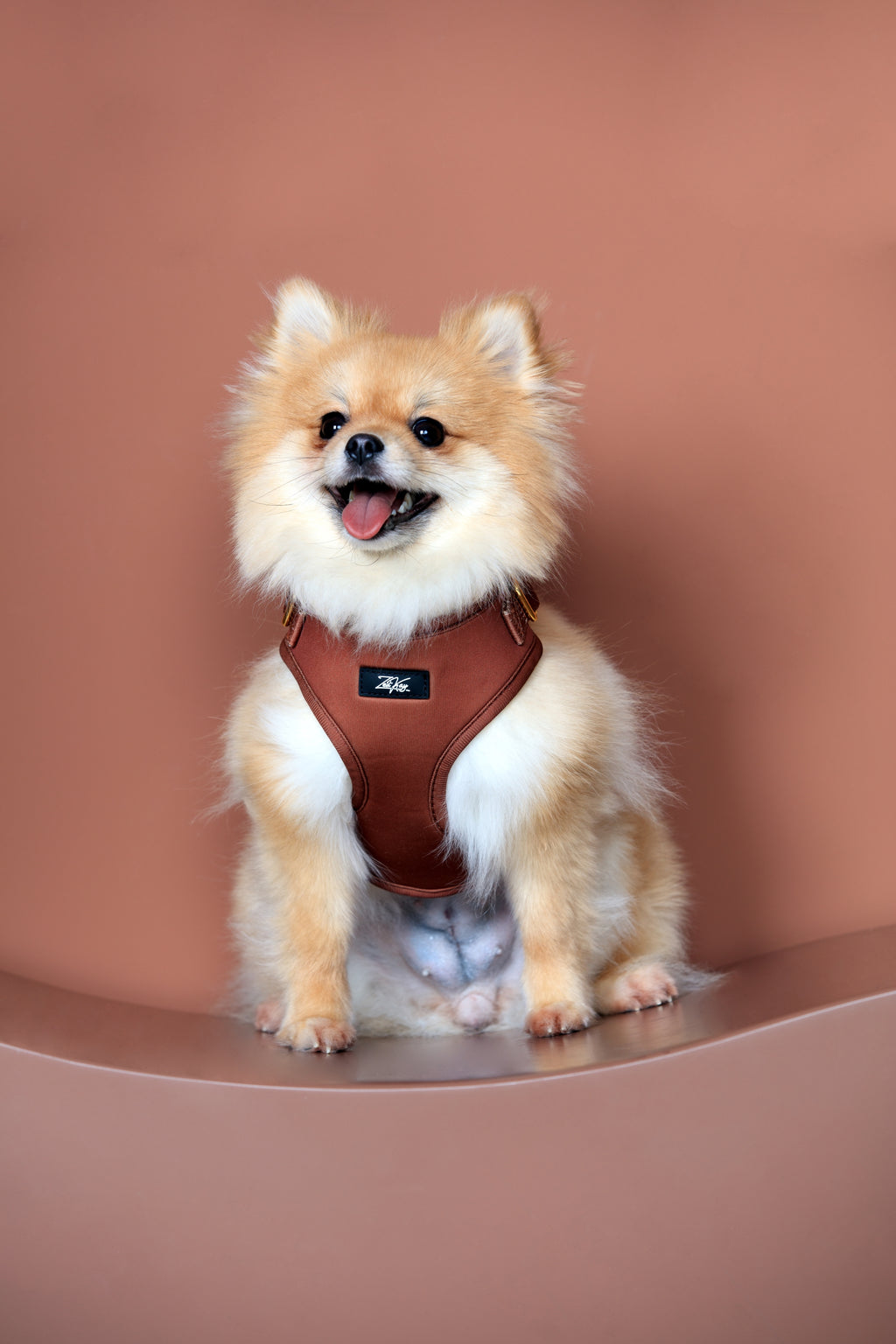 Maroon Marvel Harness for Cats and Dogs