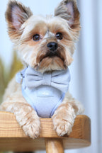 Blue Breeze Harness for Cats and Dogs