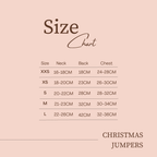 Santa's Little Sidekick Christmas Jumper for Cats and Dogs