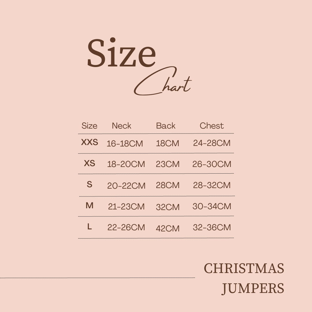 Jingle Paws Christmas Jumper for Cats and Dogs