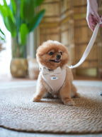 Lush Velvet Harness for Cats and Dogs