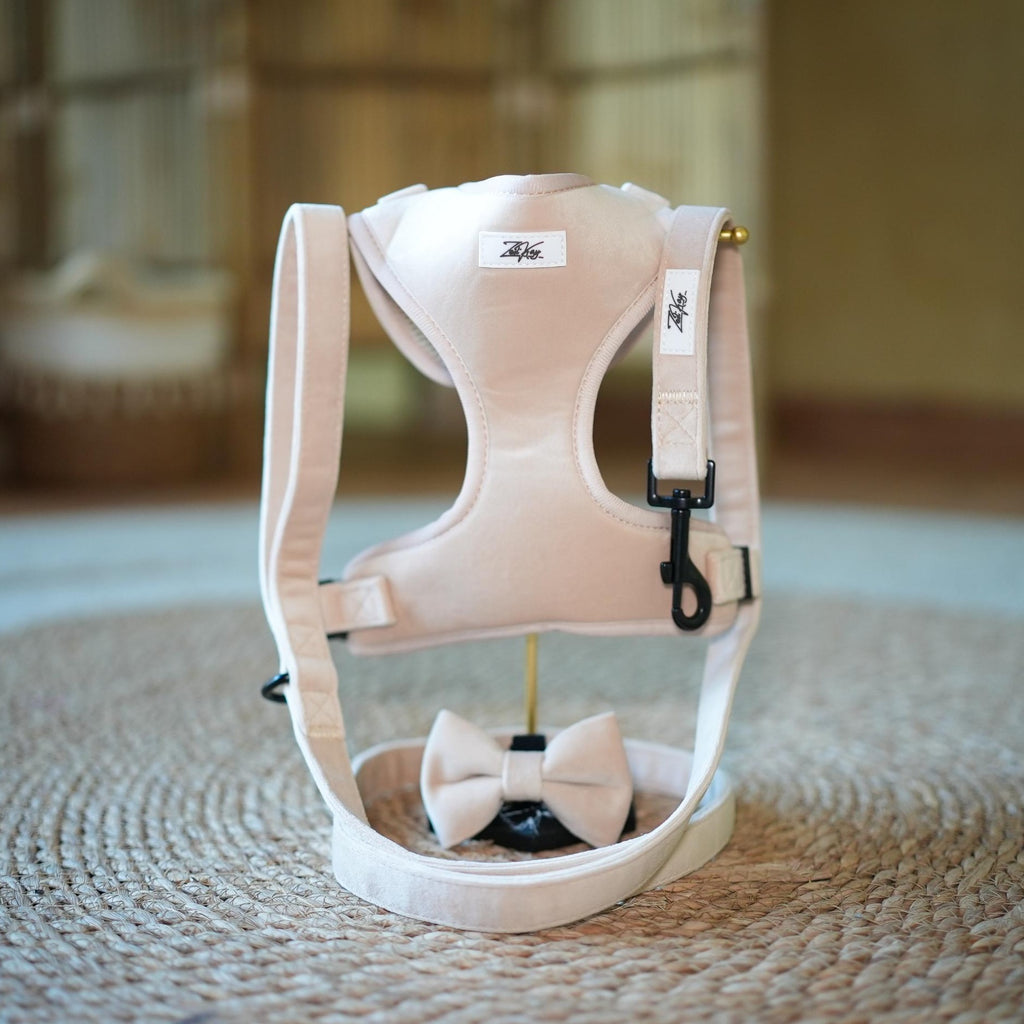 Lush Velvet Harness for Cats and Dogs