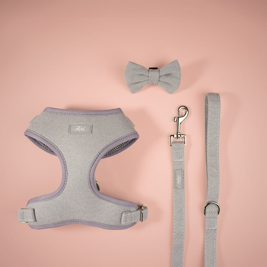 Blue Breeze Harness for Cats and Dogs