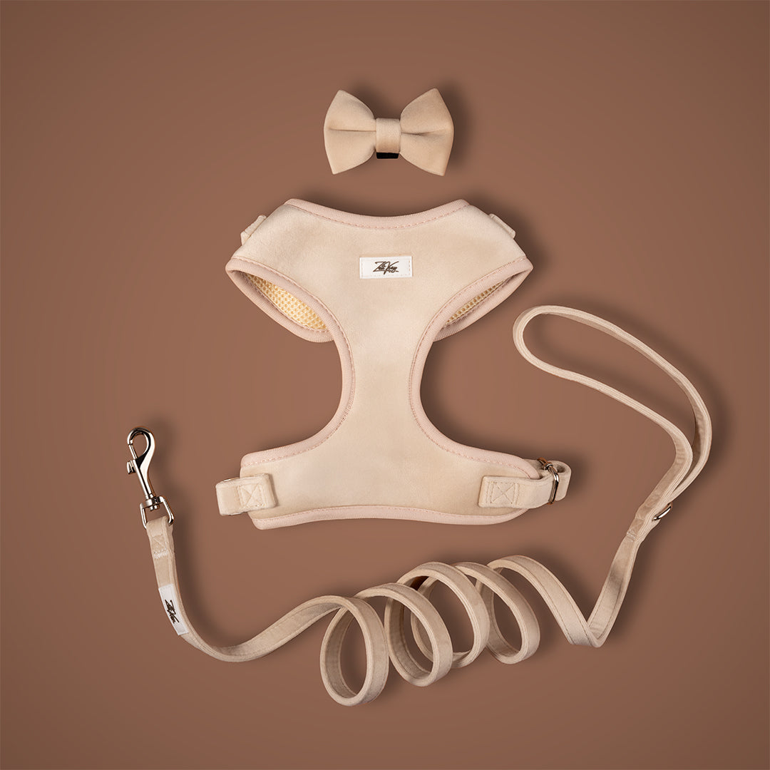 Lush Velvet Harness for Cats and Dogs