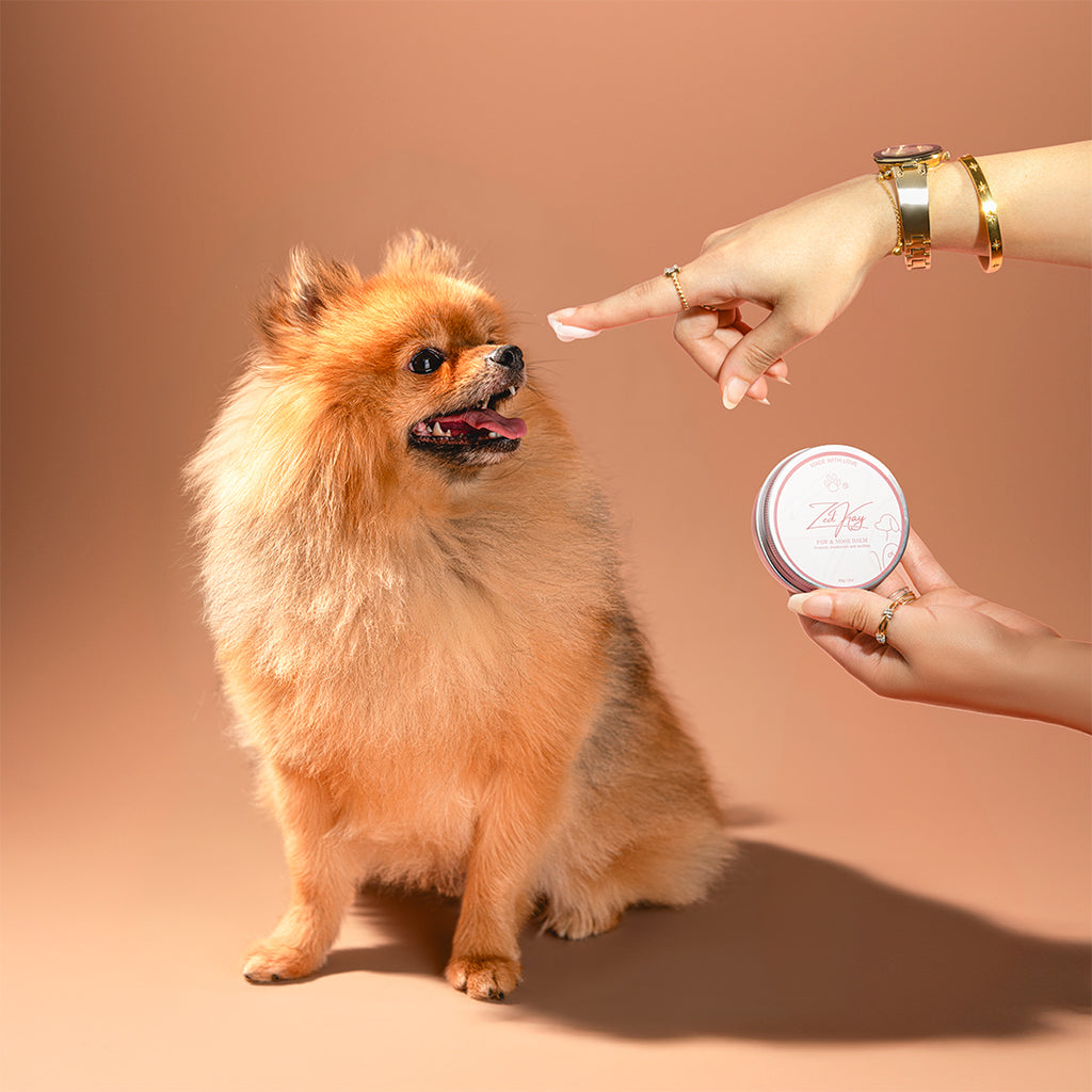Paw Balm for Pets