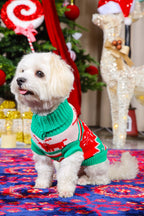 Jingle Paws Christmas Jumper for Cats and Dogs