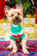 Jingle Paws Christmas Jumper for Cats and Dogs