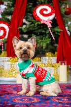 Jingle Paws Christmas Jumper for Cats and Dogs