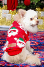 Santa's Little Sidekick Christmas Jumper for Cats and Dogs