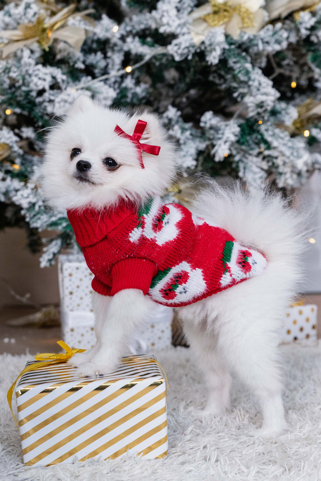 Santa's Little Sidekick Christmas Jumper for Cats and Dogs