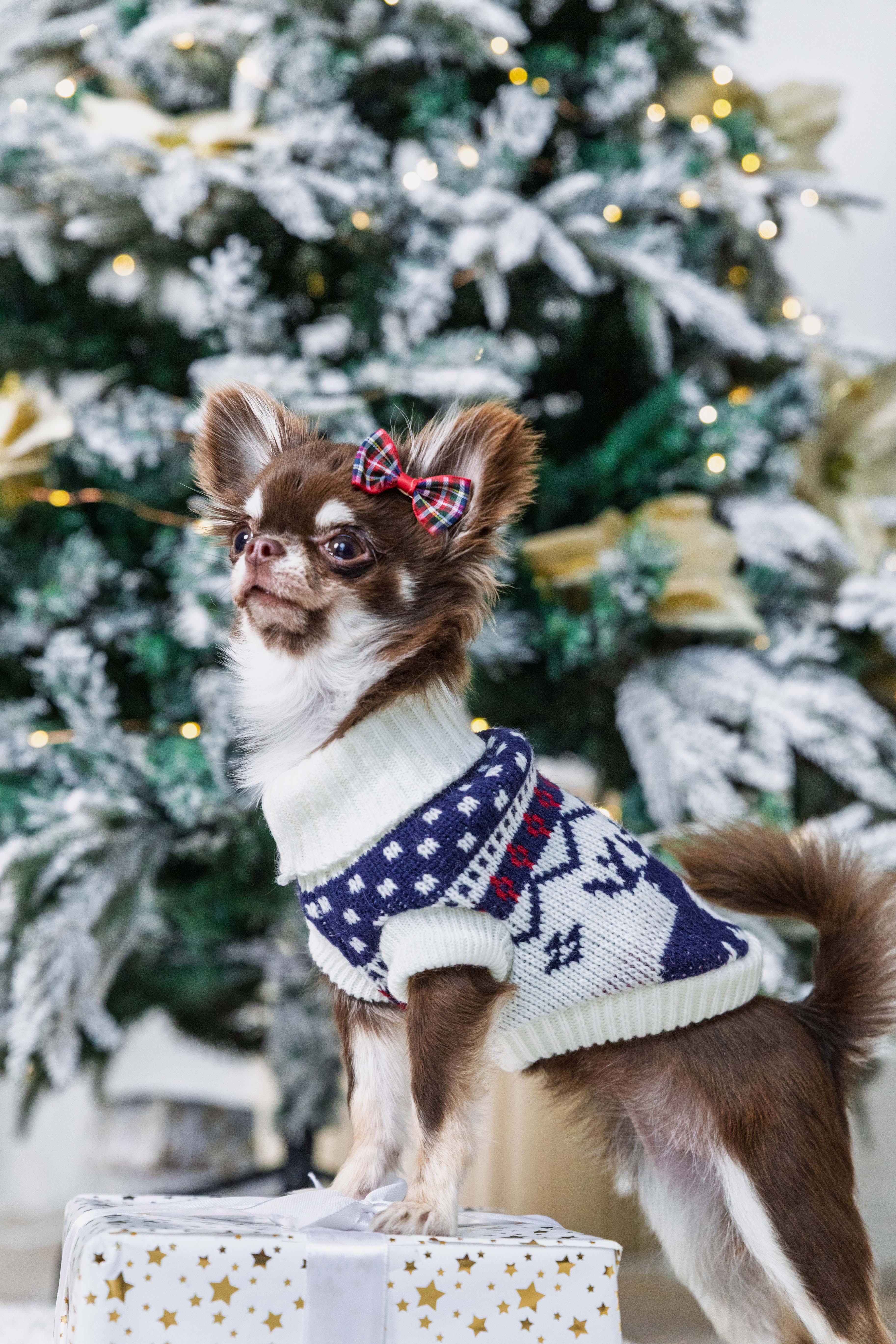 Arctic Reindeer Christmas Jumper for Cats and Dogs