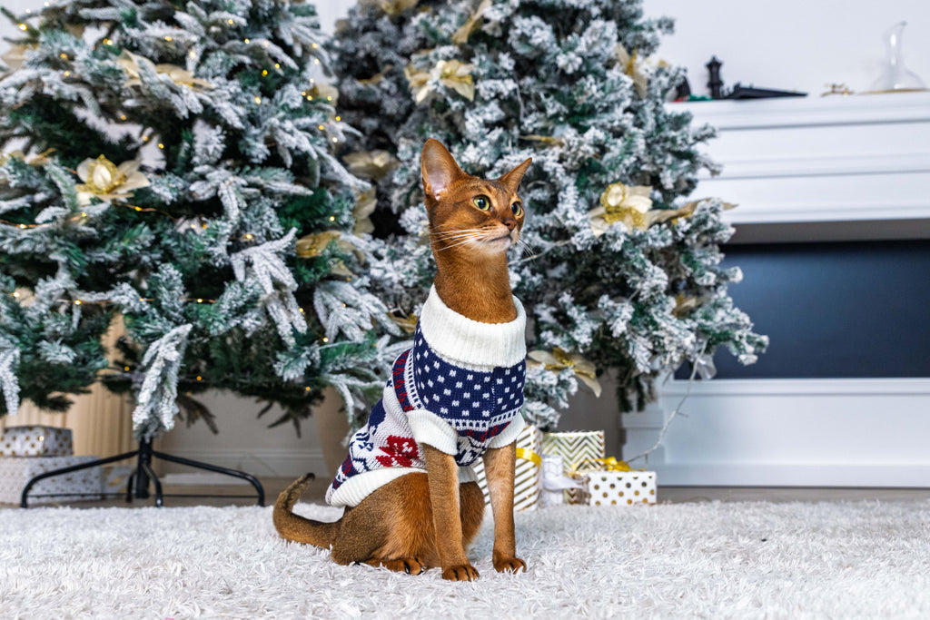 Arctic Reindeer Christmas Jumper for Cats and Dogs