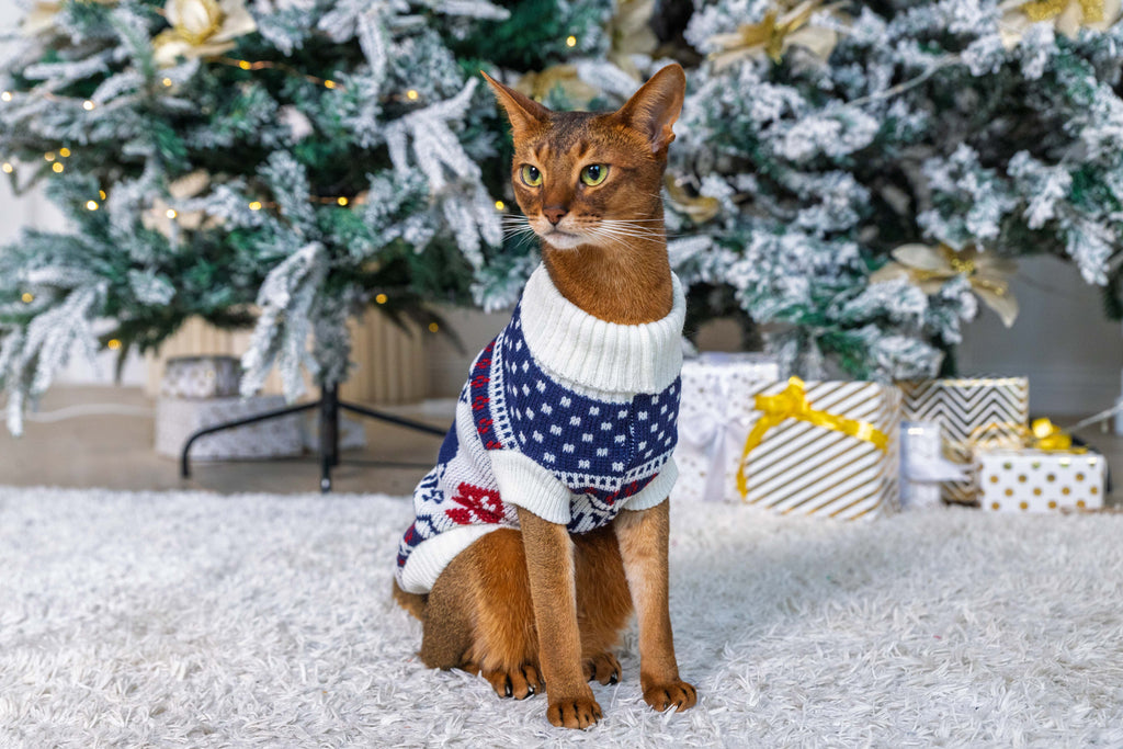 Arctic Reindeer Christmas Jumper for Cats and Dogs