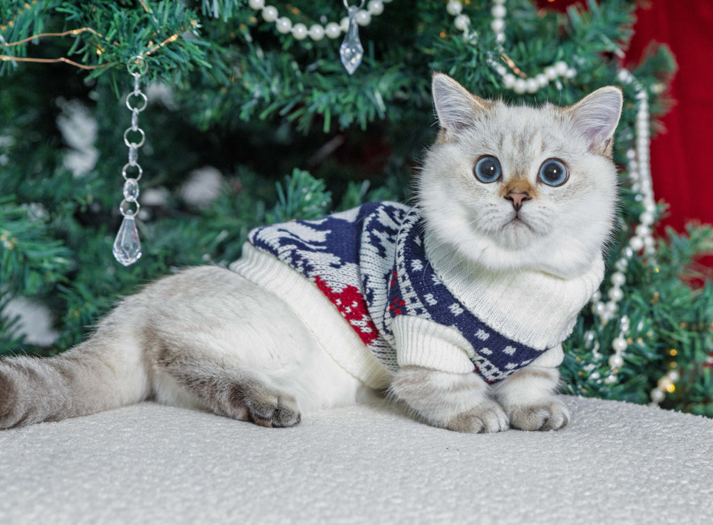 Arctic Reindeer Christmas Jumper for Cats and Dogs