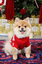 Santa's Little Sidekick Christmas Jumper for Cats and Dogs