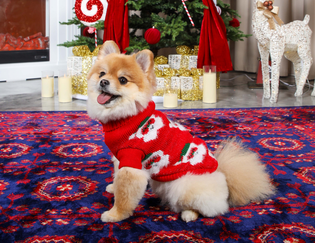 Santa's Little Sidekick Christmas Jumper for Cats and Dogs